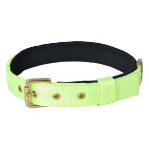 Pin Buckle Dog Collar Neck Belt (Lime Green)