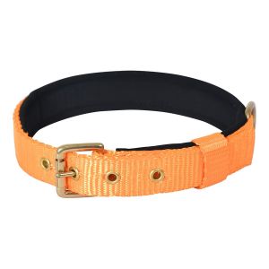 Pin Buckle Dog Collar Neck Belt (Neon Orange)