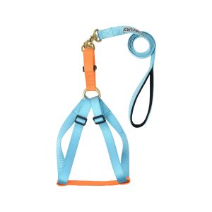 Step-in Harness for  and dog