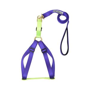 Step-in Harness for Puppy and dog4