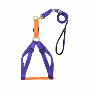 Step-in Harness for  and dog5