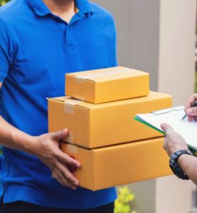 domestic courier services