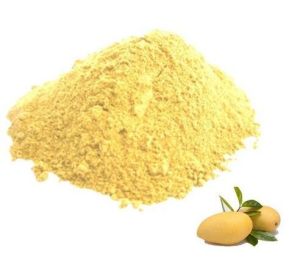 Alphonso Mango Powder