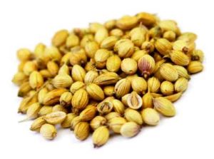 coriander seeds