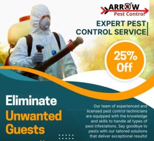insect pest control service