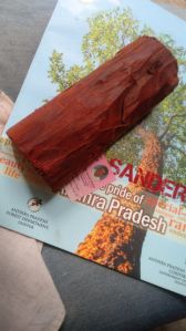 Grade A Class 1 Selected Red Sandalwood Logs