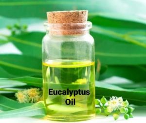 Eucalyptus Oil