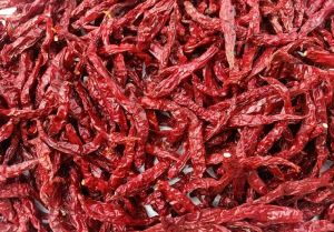 Dried Red Byadgi Chilli