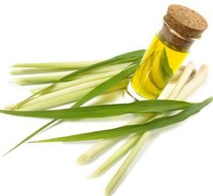Natural Lemon Grass Oil