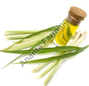 natural lemon grass oil