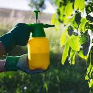 Liquid Foliar Fertilizer