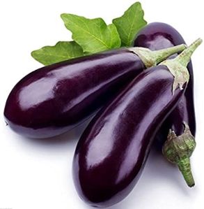 Fresh Eggplant