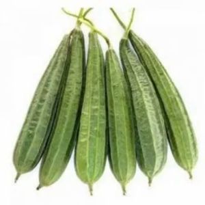 Fresh Ridge Gourd