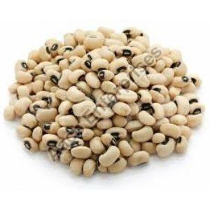 Cow Pea Beans