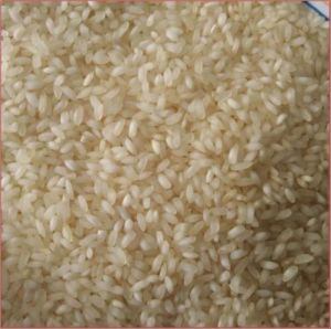 Non Basmati Swarna Masoori Raw Rice