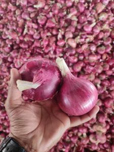 https://img1.exportersindia.com/product_images/bc-small/2023/9/11954613/fresh-red-onion-1682663693-6870220.jpeg