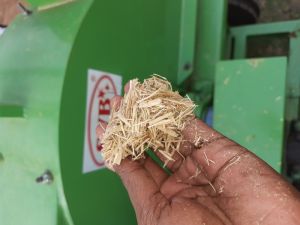 Fuel wood chips