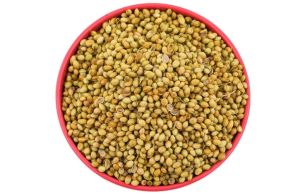 coriander seeds