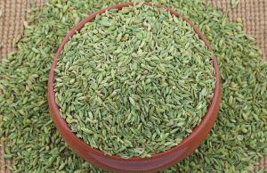 fennel seeds