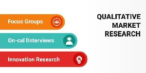 Qualitative Market Research Service