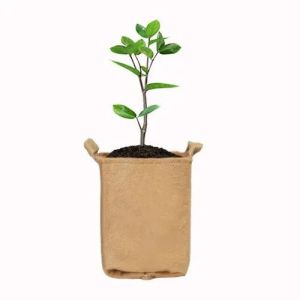 Jute Plant Grow Bag