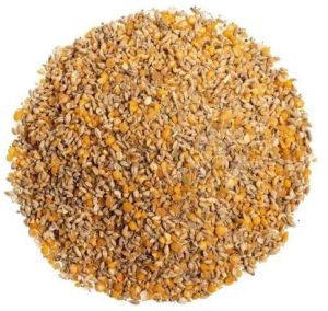 cattle feed Usage : Feed For Cattle