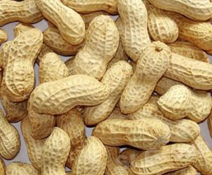 Shelled Groundnuts