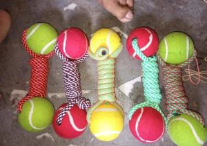 dog toys