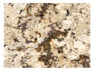 Belford Serra Granite Slab