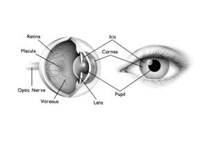 Eye Health Consultancy
