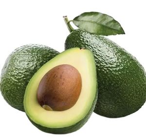 high quality premium grade fresh avocado