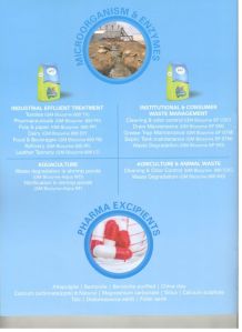 microorganism & enzymes