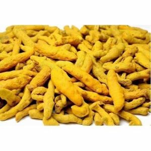 Organic Turmeric Finger Latest Price From Manufacturers Suppliers