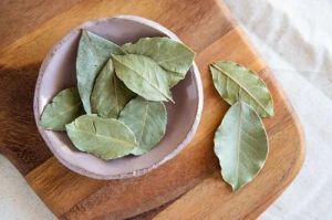 Raw Bay Leaf