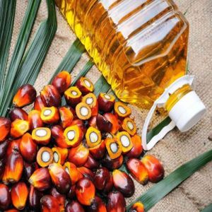 palm oil