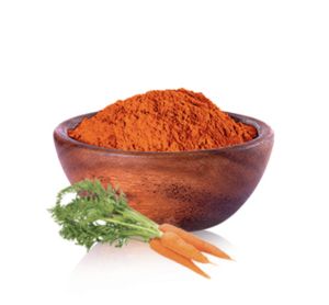 dehydrated carrot powder