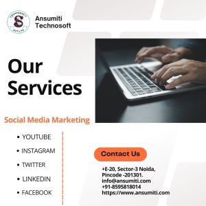 Social Media Strategy Service