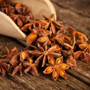 star anise seeds