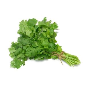 Fresh Cilantro