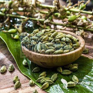 Green Cardamom Pods