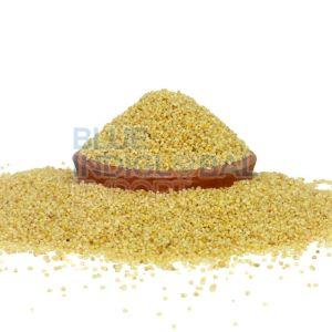 Italian Foxtail Millet Seed