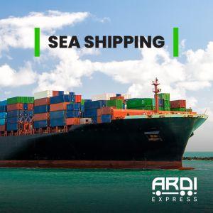 Sea Shipping from India to FBA USA