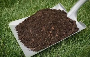 Cow Dung Vermicompost