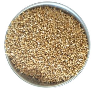 Kodo Millet Seeds