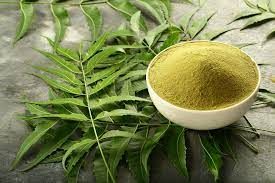 neem leaves powder