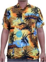 hawaiian beach shirt aloha