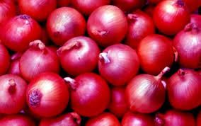 EXPORT QUALITY ONION