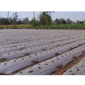 Mulching Paper, For Soil Moisture Retention, Color : Black