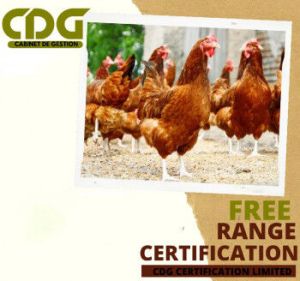 Free-Range Certification in Hyderabad