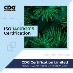 ISO 14001 Certification in Noida